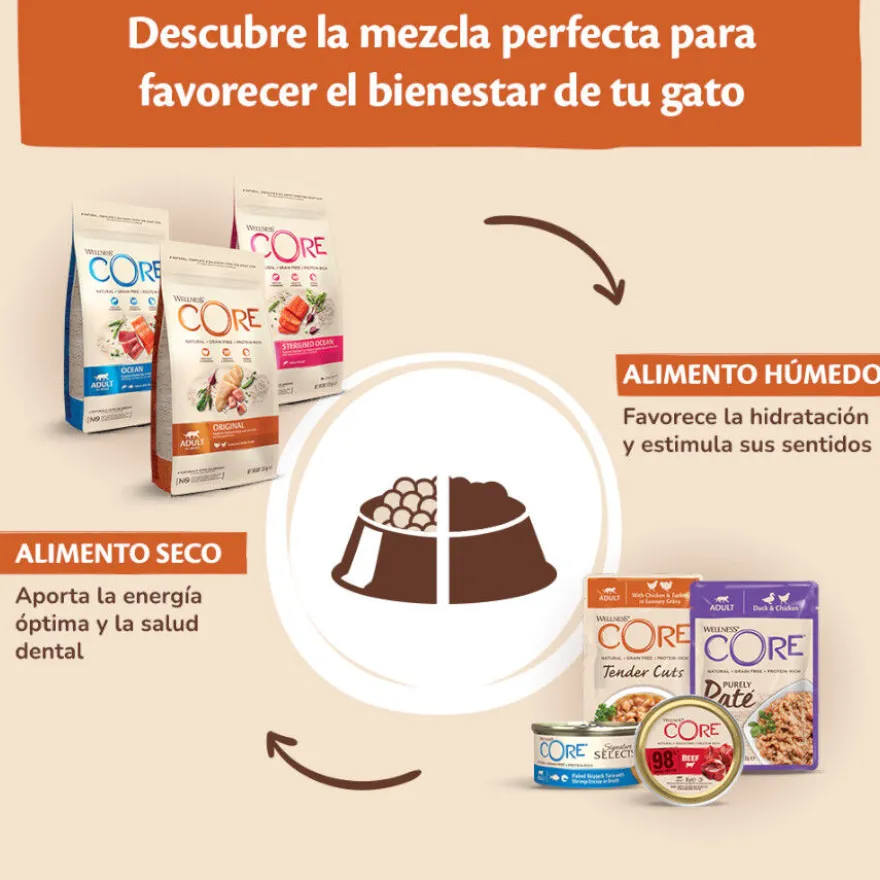 Wellness Core Adult Purely Pollo en Paté Sobre para gatos