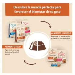 Wellness Core Adult Sterilised Ocean Salmón pienso para gatos