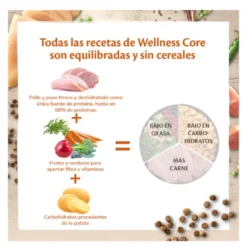 Wellness Core Adult Sterilised Pollo y Pavo pienso para gatos