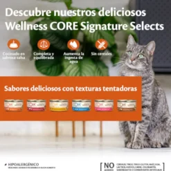 Wellness Core Chunky carne y pollo lata para gatos