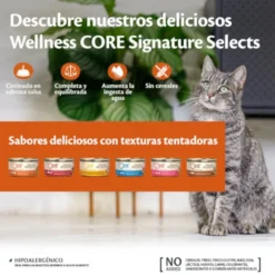 Wellness Core Chunky pollo y pavo lata para gatos