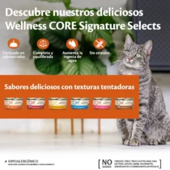 Wellness Core Flaked Salmón lata para gatos