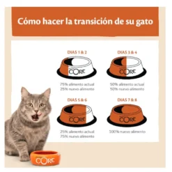 Wellness Core Kitten Pavo y Pollo pienso para gatos