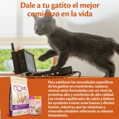 Wellness Core Kitten Pollo en Paté sobre para gatos