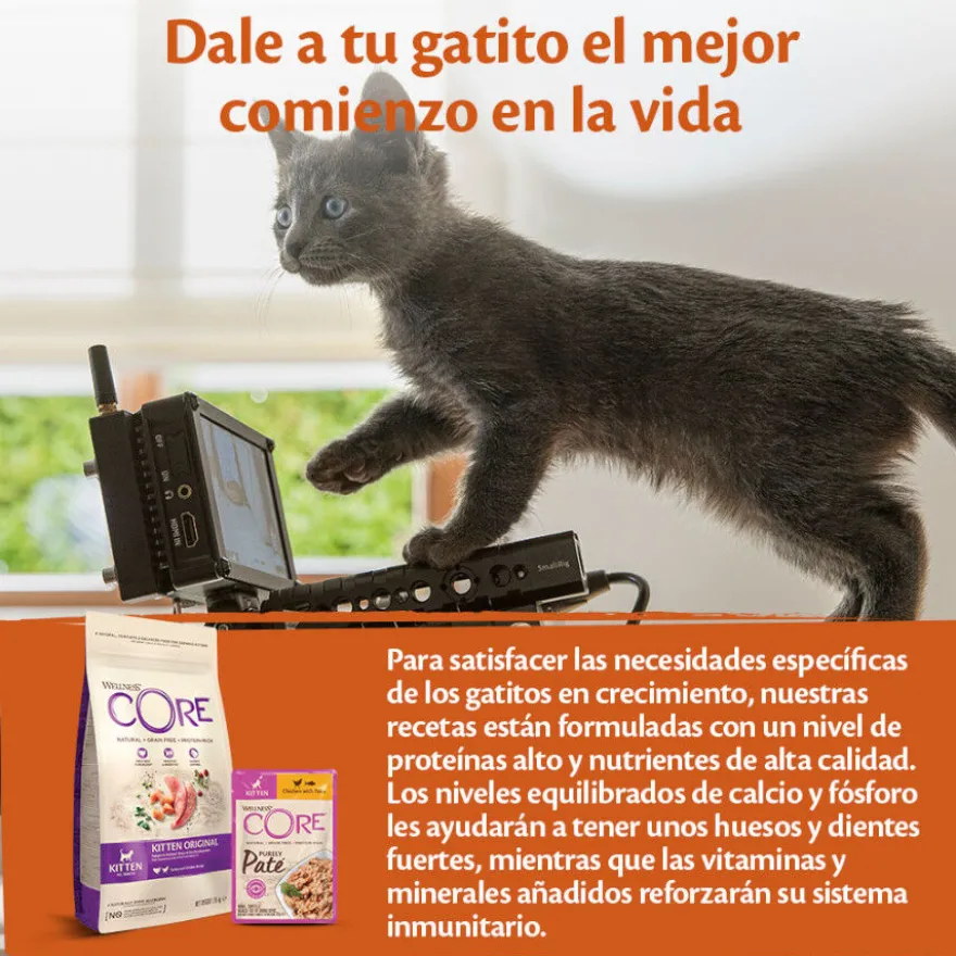 Wellness Core Kitten Pollo en Paté sobre para gatos