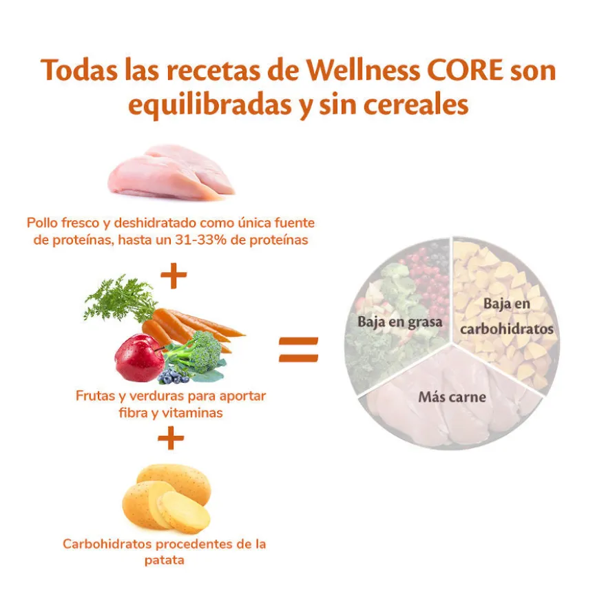 Wellness Core Puppy Large Original Pollo pienso para perros