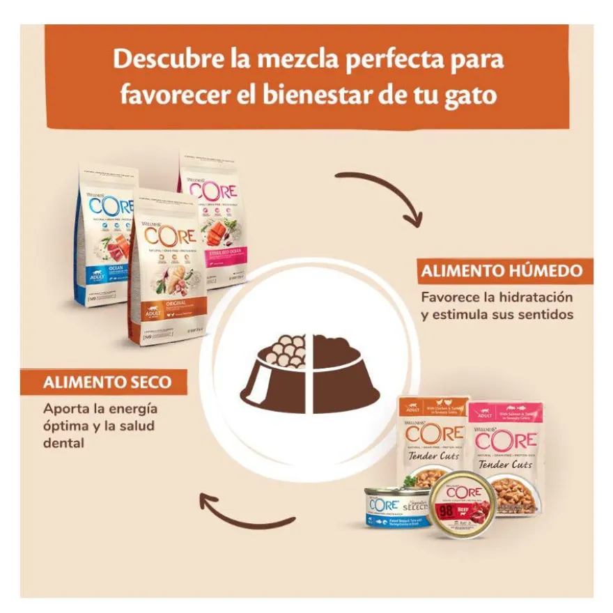 Wellness Core Single Protein pavo tarrina para gatos