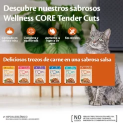 Wellness Core Tender Cuts atún sobre en salsa para gatos