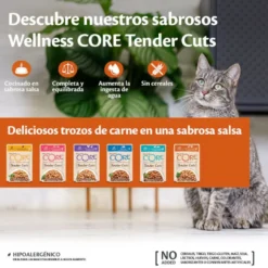 Wellness Core Tender Cuts Pavo y Pato sobre en salsa para gatos