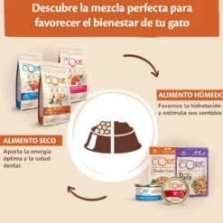 Wellness Core Tender Cuts Pollo Sobre en salsa para gatos