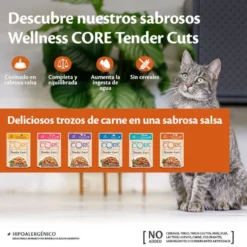 Wellness Core Tender Cuts pollo y pavo sobre en salsa para gatos