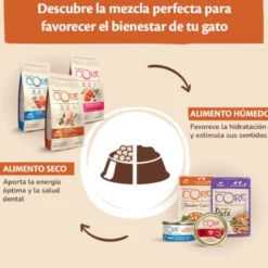 Wellness Core Tender Cuts salmón y atún sobre en salsa para gatos