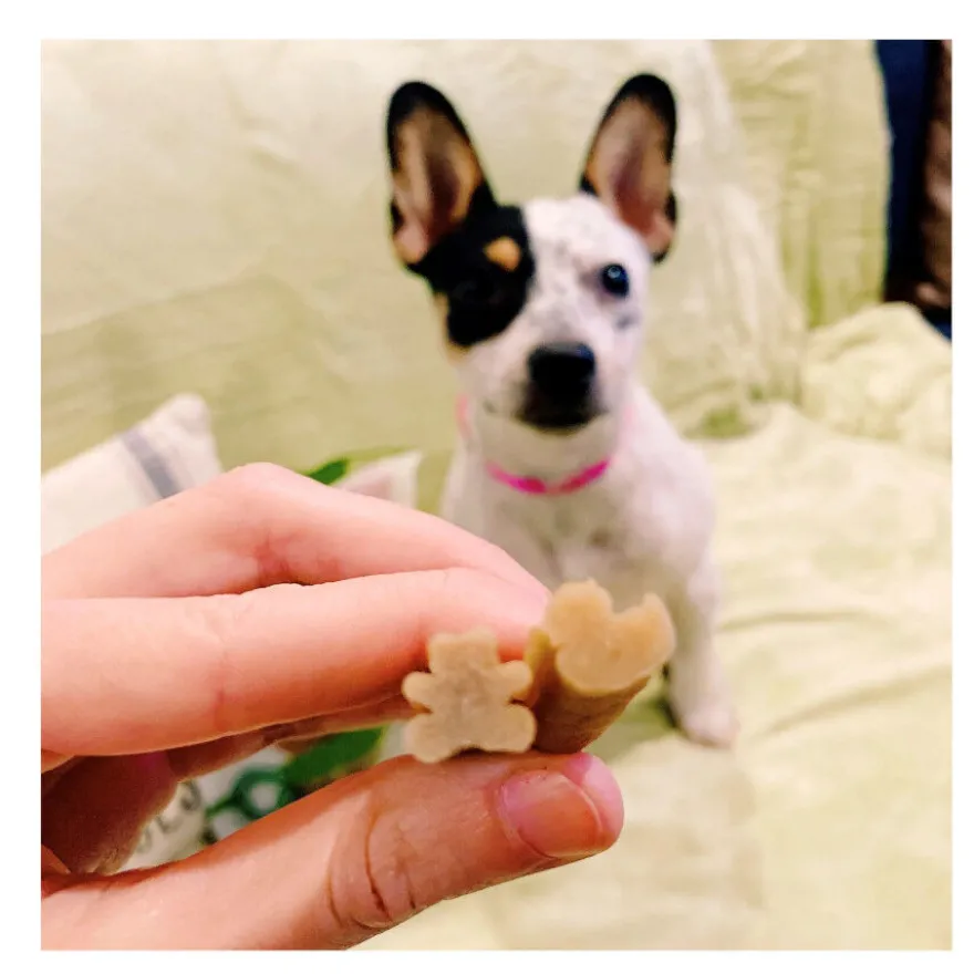 Whimzees Puppy XS/S Snacks Dentales Naturales para perros