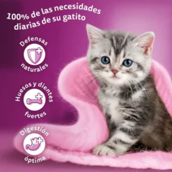 Whiskas Junior Pollo y Pavo Gelatina para gatos