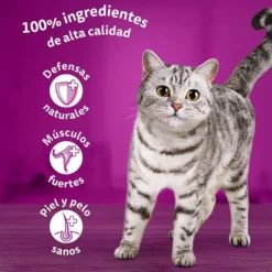 Whiskas Selección Pescados Gelatina en Bolsita para gatos