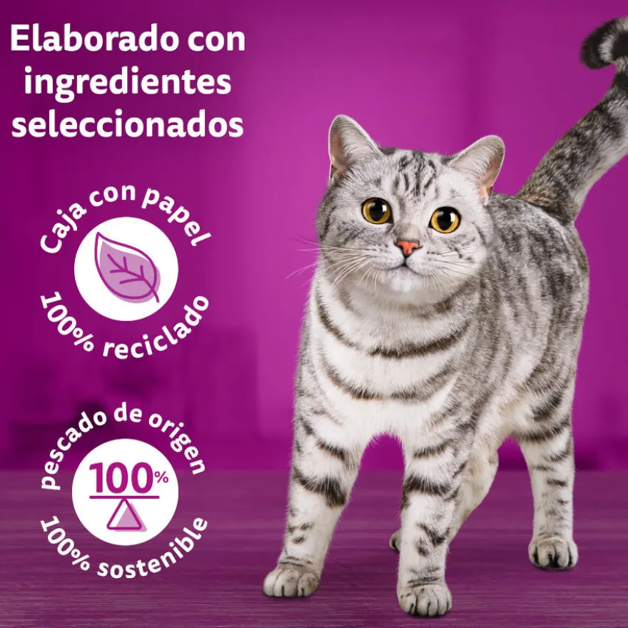 Whiskas Tasty Mix Selección del Chef en Salsa sobre para gatos