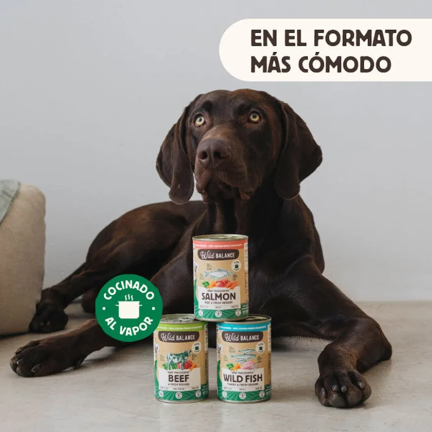 Wild Balance BARF Salmón y Ternera lata para perros