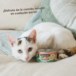 Wild Balance BARF Salmón y Ternera lata para gatos