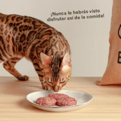 Wild Balance Menú Barf salmón pavo y verduras comida congelada para gatos