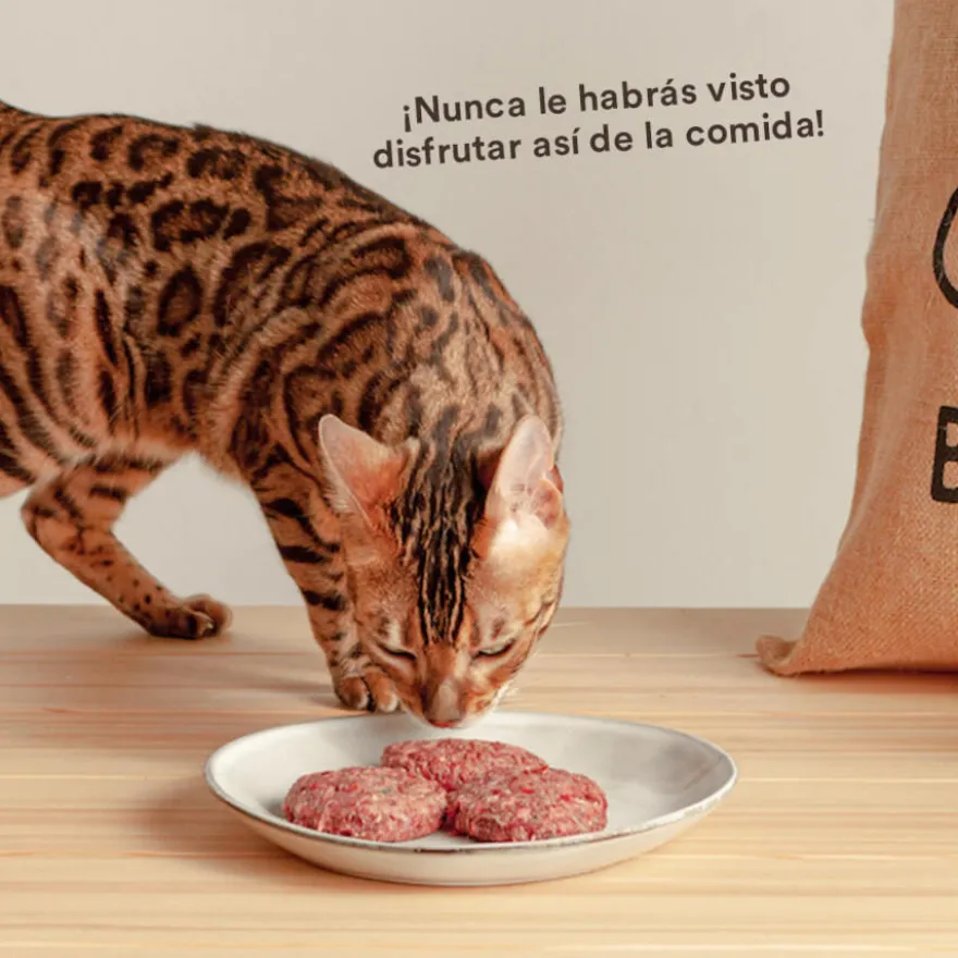 Wild Balance Menú Barf salmón pavo y verduras comida congelada para gatos