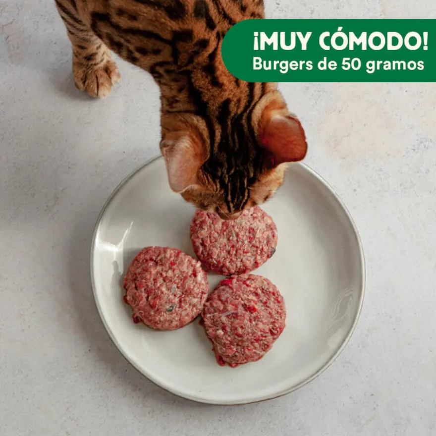 Wild Balance Menú Barf salmón pavo y verduras comida congelada para gatos