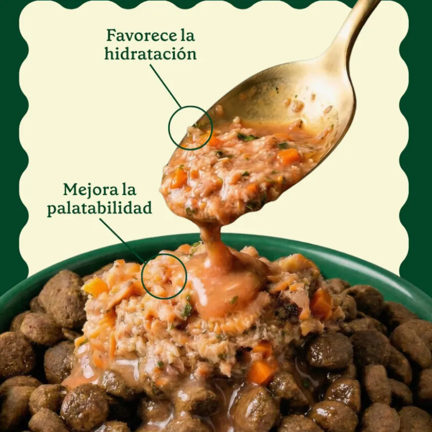 Wild Balance Toppers Salmón salsa para perros