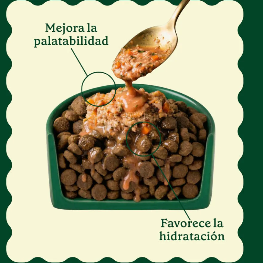 Wild Balance Toppers Salmón salsa para perros