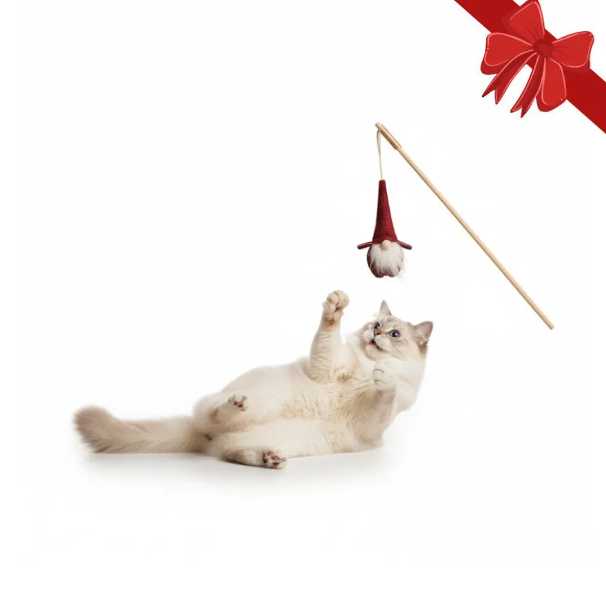 Wonder Christmas Juguete de Caña Santa Navideño para gatos