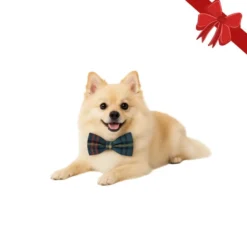 Wonder Christmas Pajarita Navideña Azul para perros