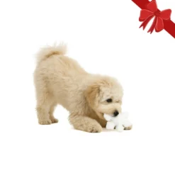 Wonder Christmas Peluche Copo de Nieve Navideño para perros