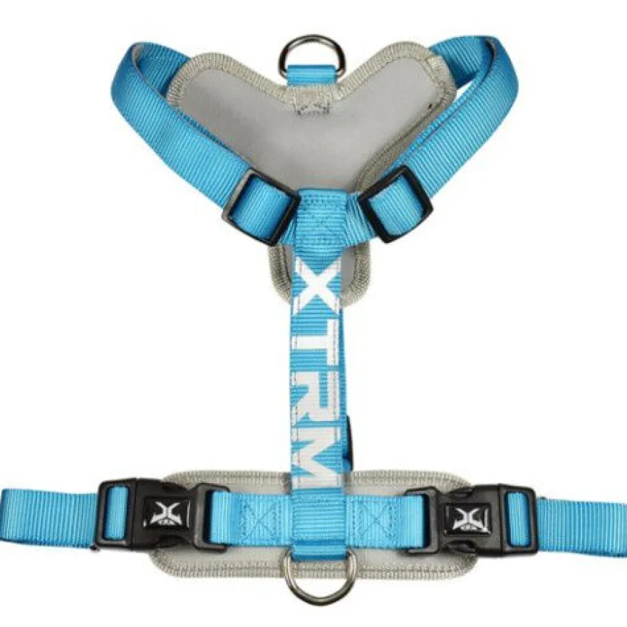 X-TRM Cronos Neón Arnés Azul para perros